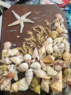 Handmade Beachy Art Seashell Wall Plaque with Starfish Accent